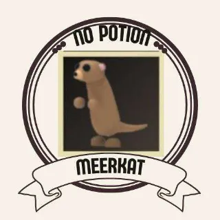 MEERKAT