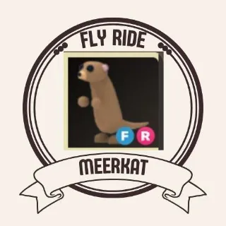 FR MEERKAT
