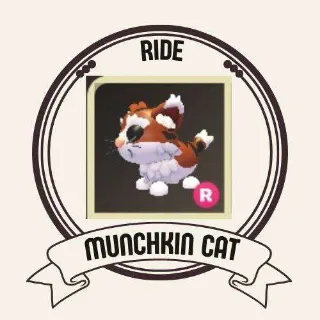 RIDE MUNCHKIN CAT