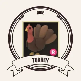 RIDE TURKEY