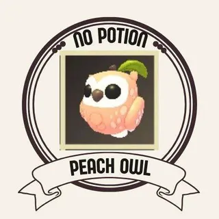 PEACH OWL