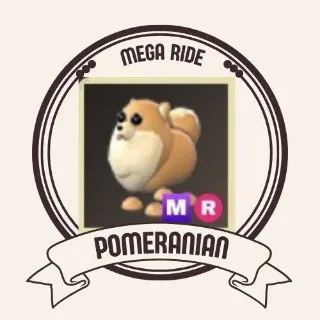 MEGA POMERANIAN
