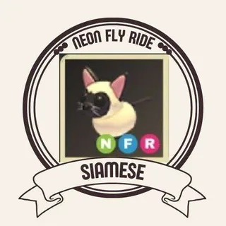 NFR SIAMESE CAT