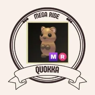 MR QUOKKA