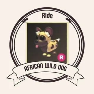 African Wild Dog