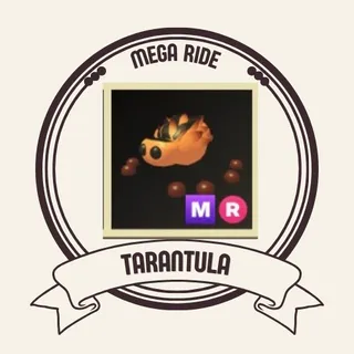 mr tarantula