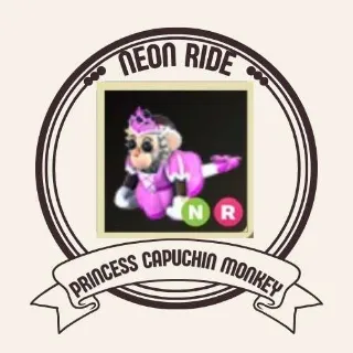 NR PRINCESS CAPUCHIN MONKEY