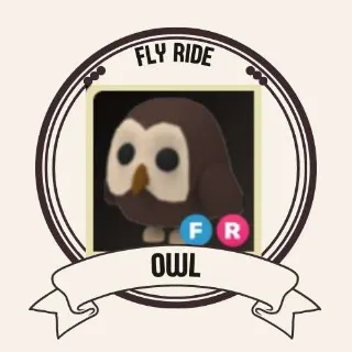 FR OWL