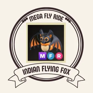 MFR INDIAN FLYING FOX
