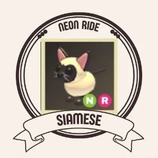 NEON SIAMESE CAT