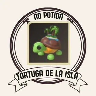 TORTUGA DE LA ISLA