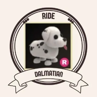 DALMATIAN RIDE