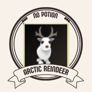 ARCTIC REINDEER