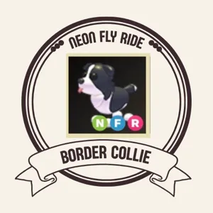 NFR BORDER COLLIE
