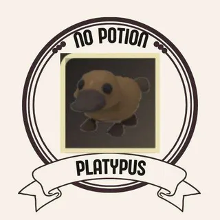 PLATYPUS