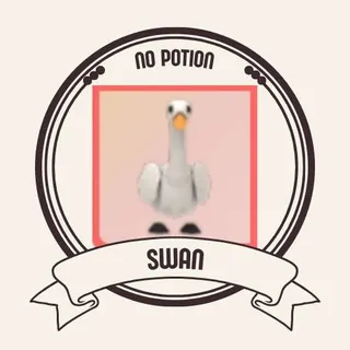 SWAN