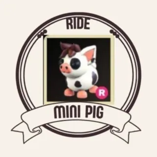 R MINI PIG