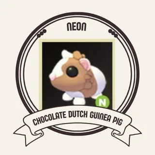NEON CHOCOLATE DUTCH GUINEA PIG