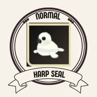 HARP SEAL