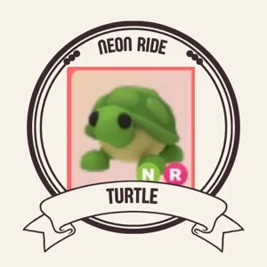 NR TURTLE