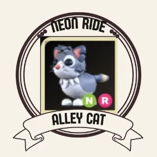 NR ALLEY CAT