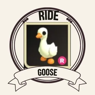R GOOSE