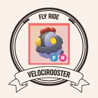 FR VELOCIROOSTER