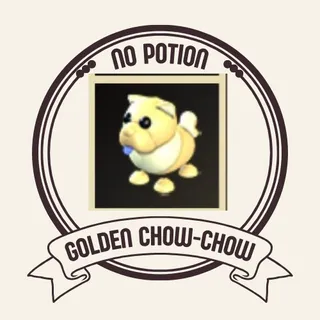 golden chow-chow