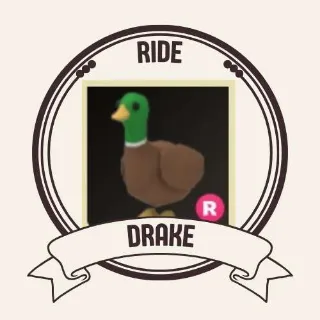 RIDE DRAKE