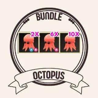 14x OCTOPUS