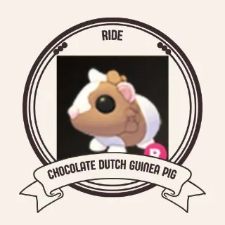 RIDE CHOCOLATE DUTCH GUINEA PIG