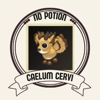 CAELUM CERVI