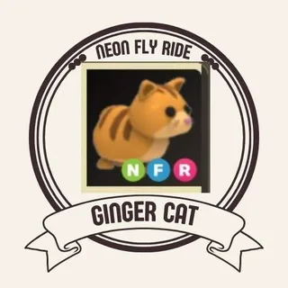 NFR GINGER CAT