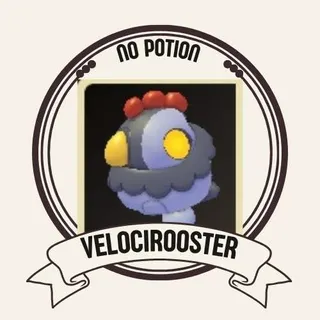 VELOCIROOSTER