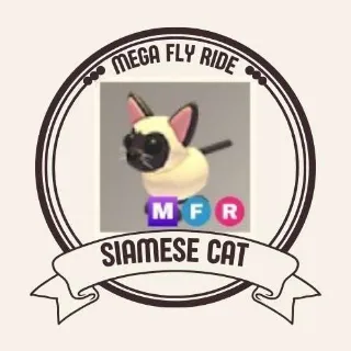 MEGA SIAMESE CAT