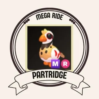 MR PARTRIDGE