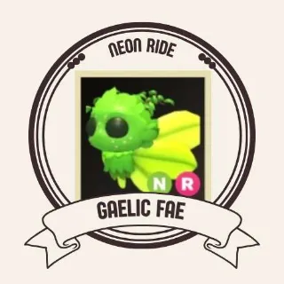 NR GAELIC FAE