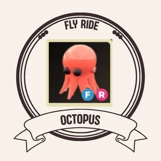 FR OCTOPUS