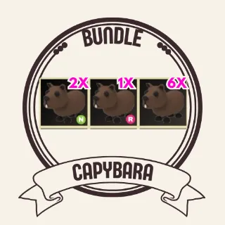 9x Capybara 