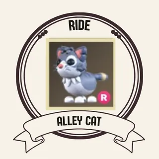 R ALLEY CAT