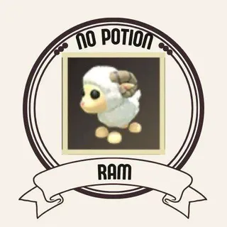 RAM