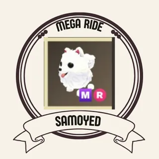 MR SAMOYED