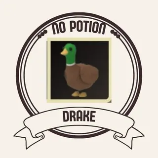 DRAKE