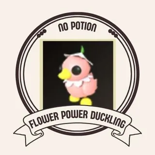 FLOWER POWER DUCKLING
