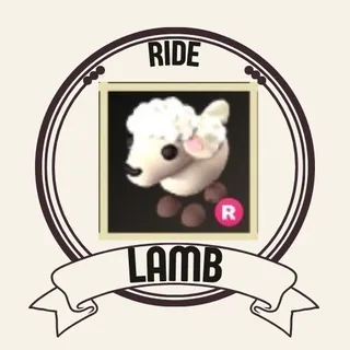 RIDE LAMB 