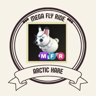 Mfr arctic hare