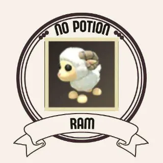 RAM