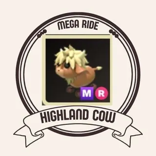 MR HIGHLAND COW