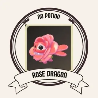 ROSE DRAGON