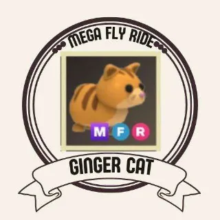 MFR GINGER CAT